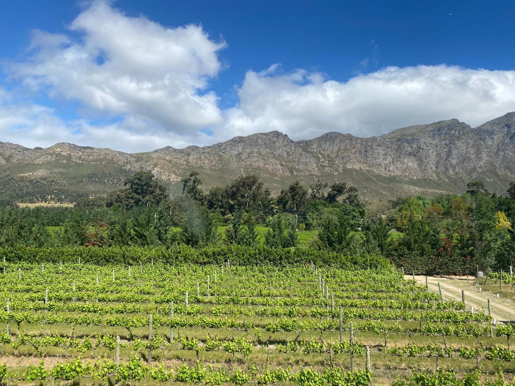 Franschhoek Rose Cottages Εξωτερικό φωτογραφία